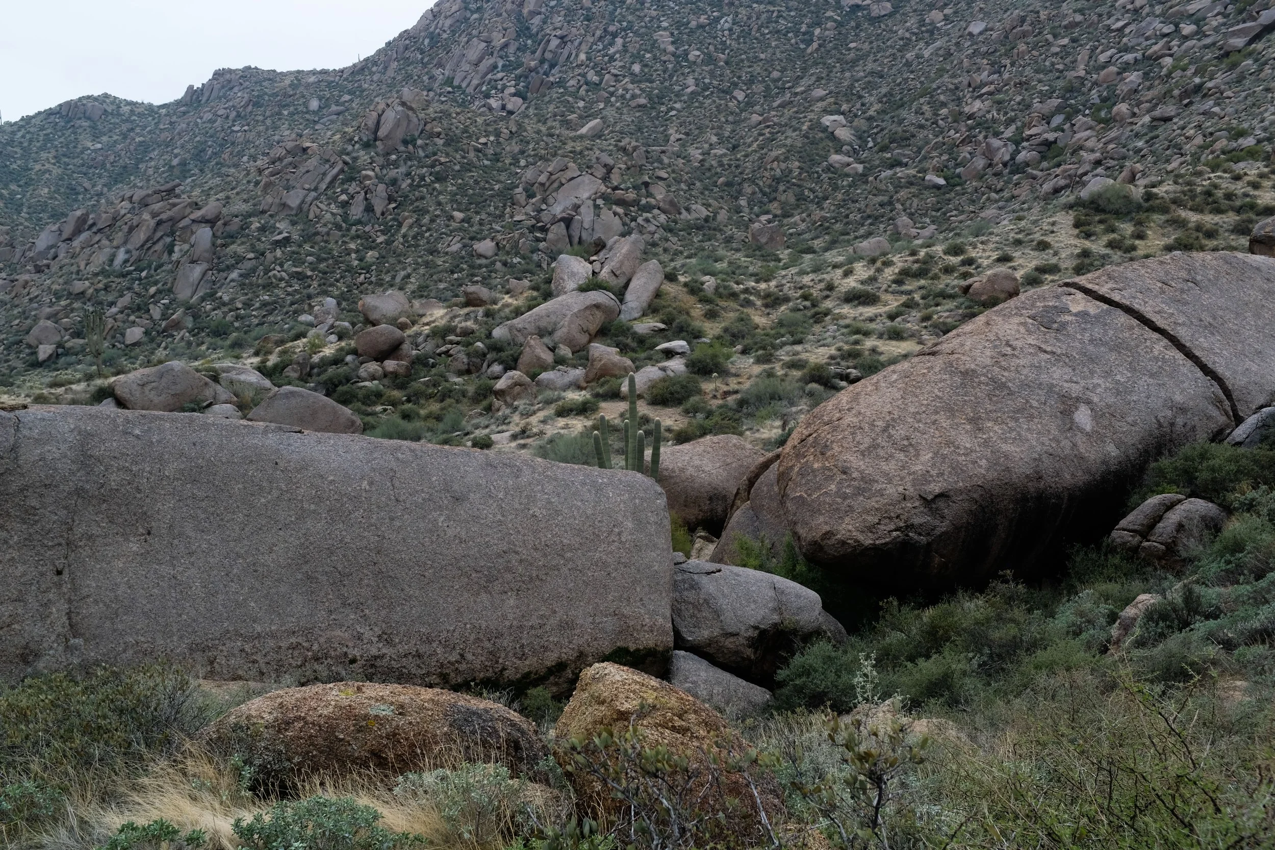 Marcus Landslide Trail
