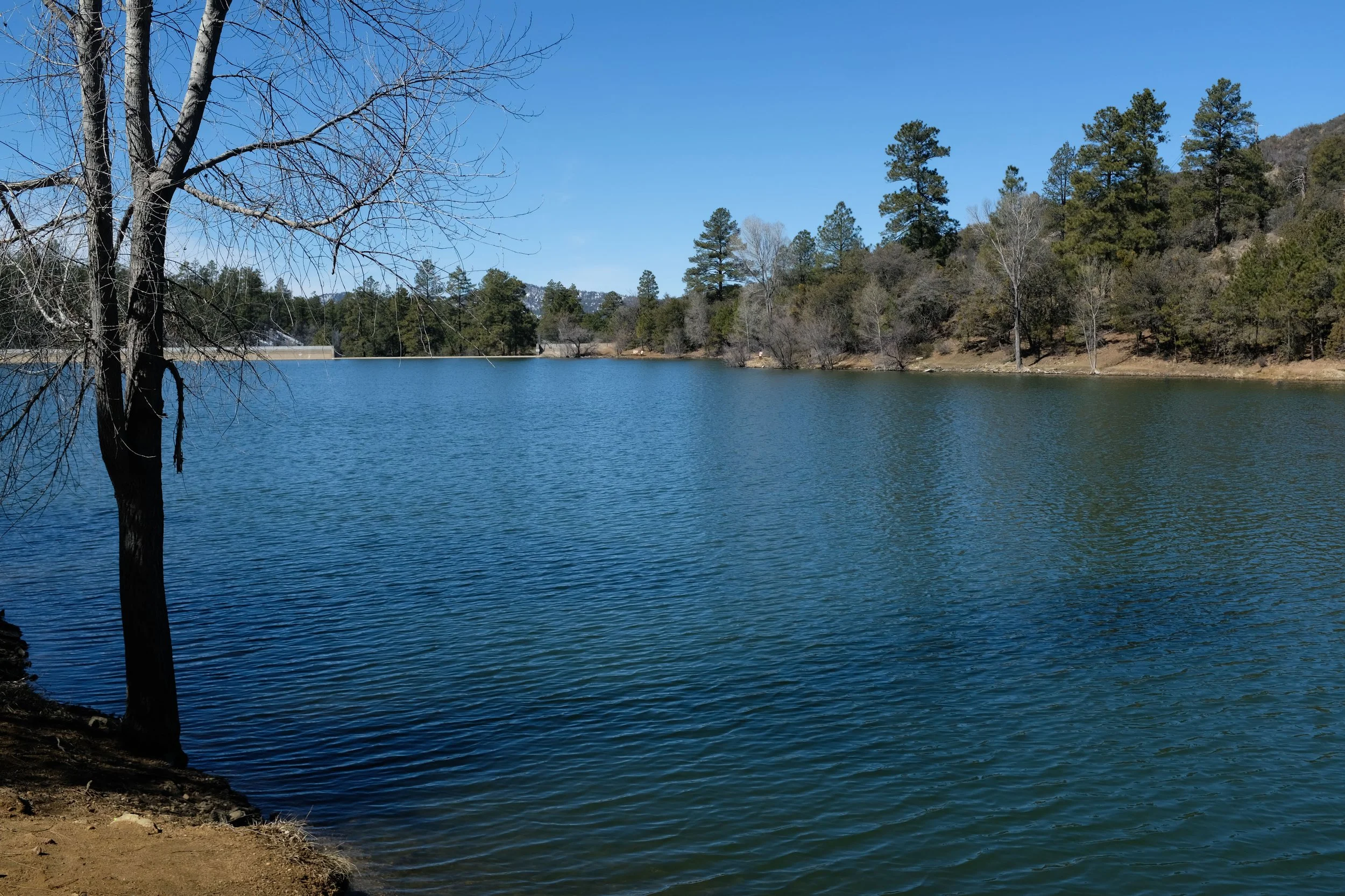 Bannon Creek Loop
