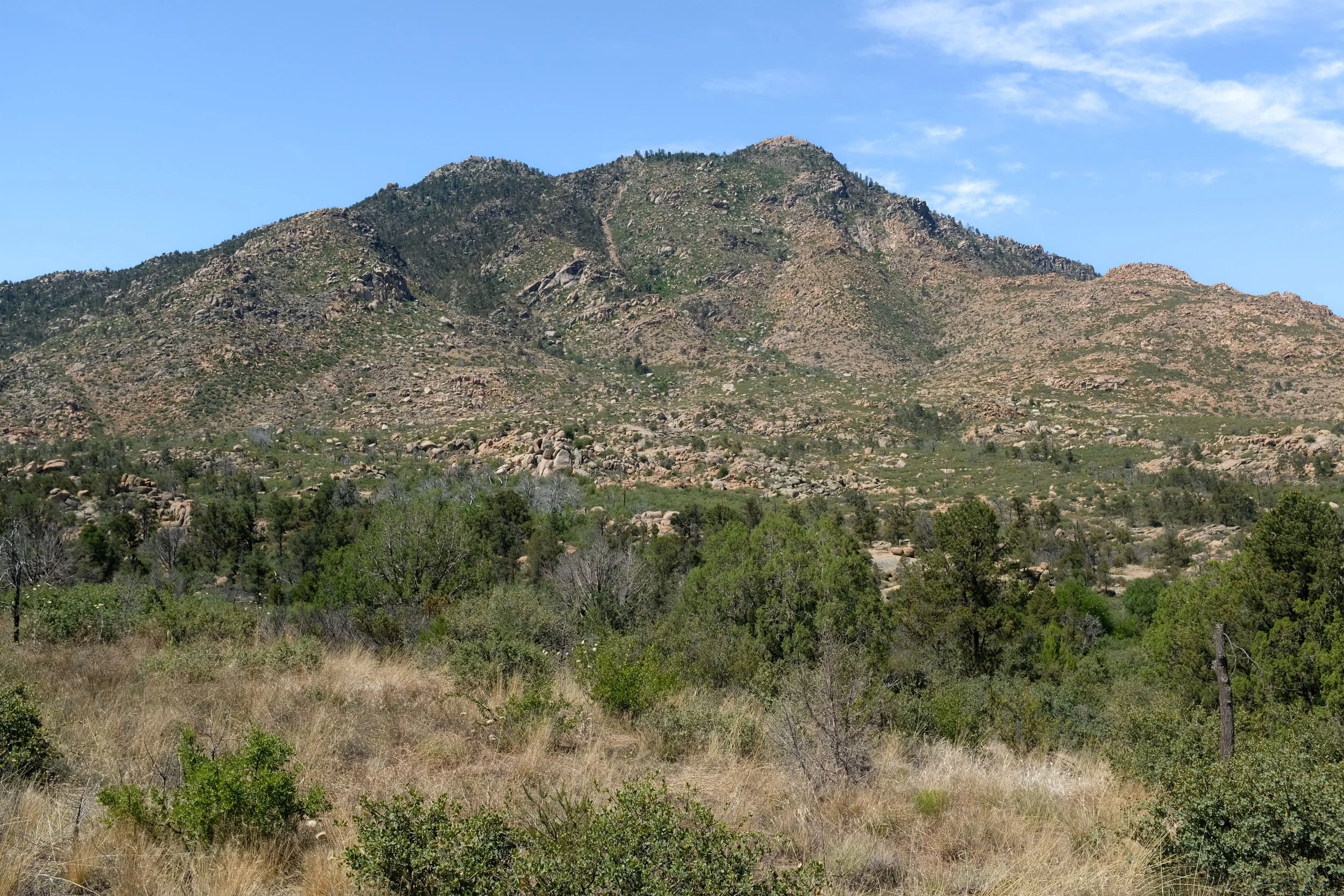 Mint Wash Overlook Loop