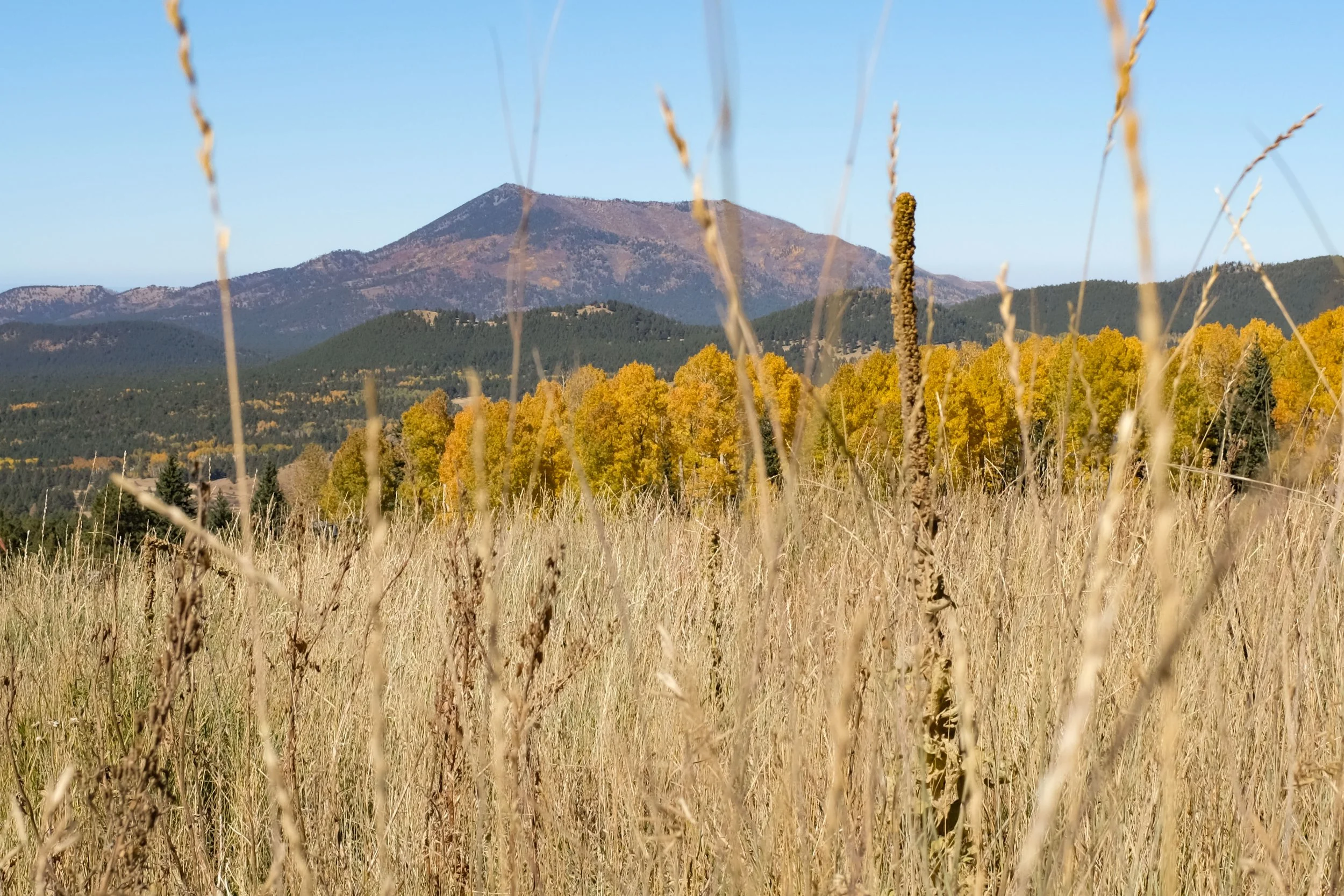 Aspen Loop