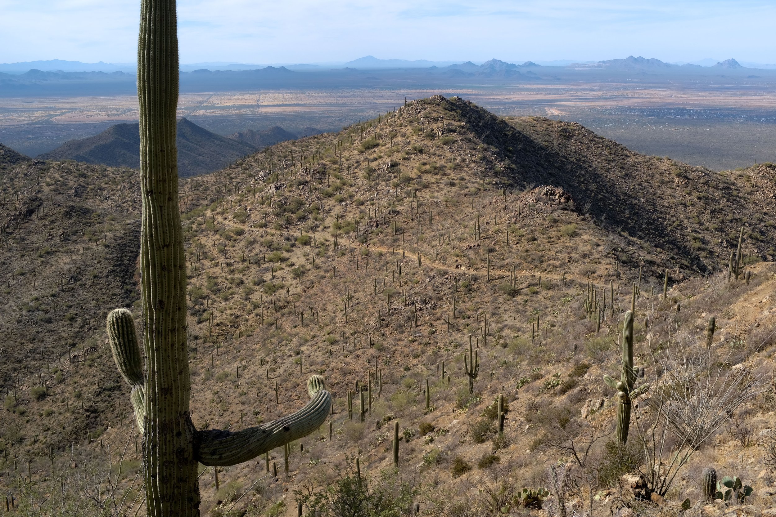 Wasson Peak