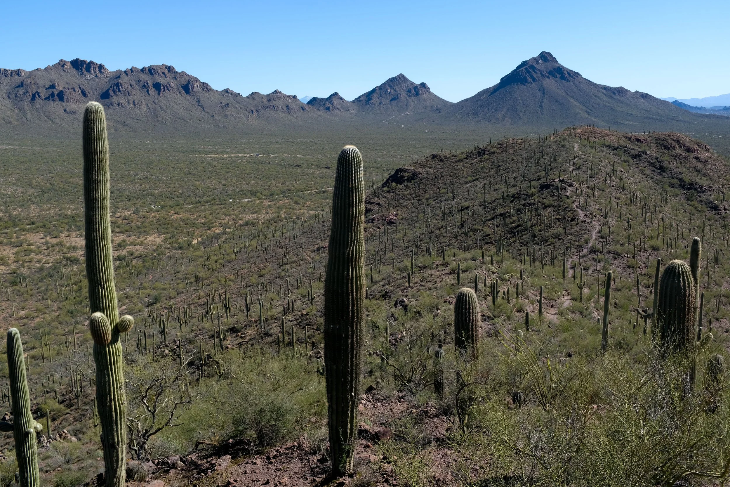 Brown Mountain Loop