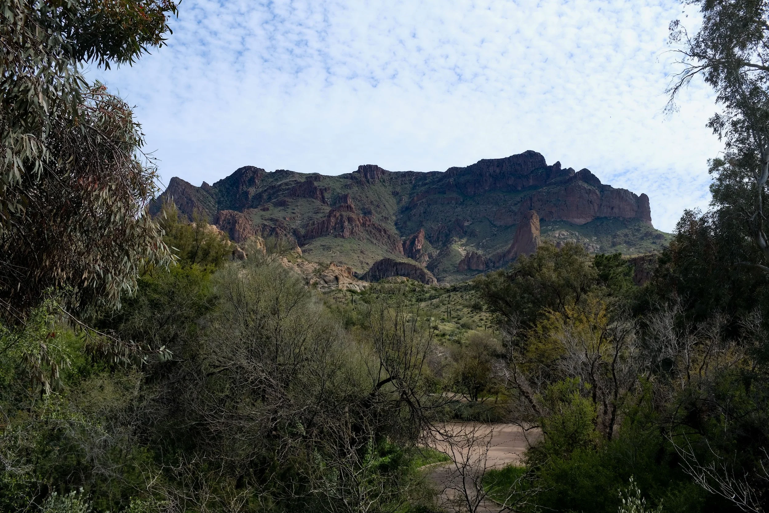 Boyce Thompson Arboretum