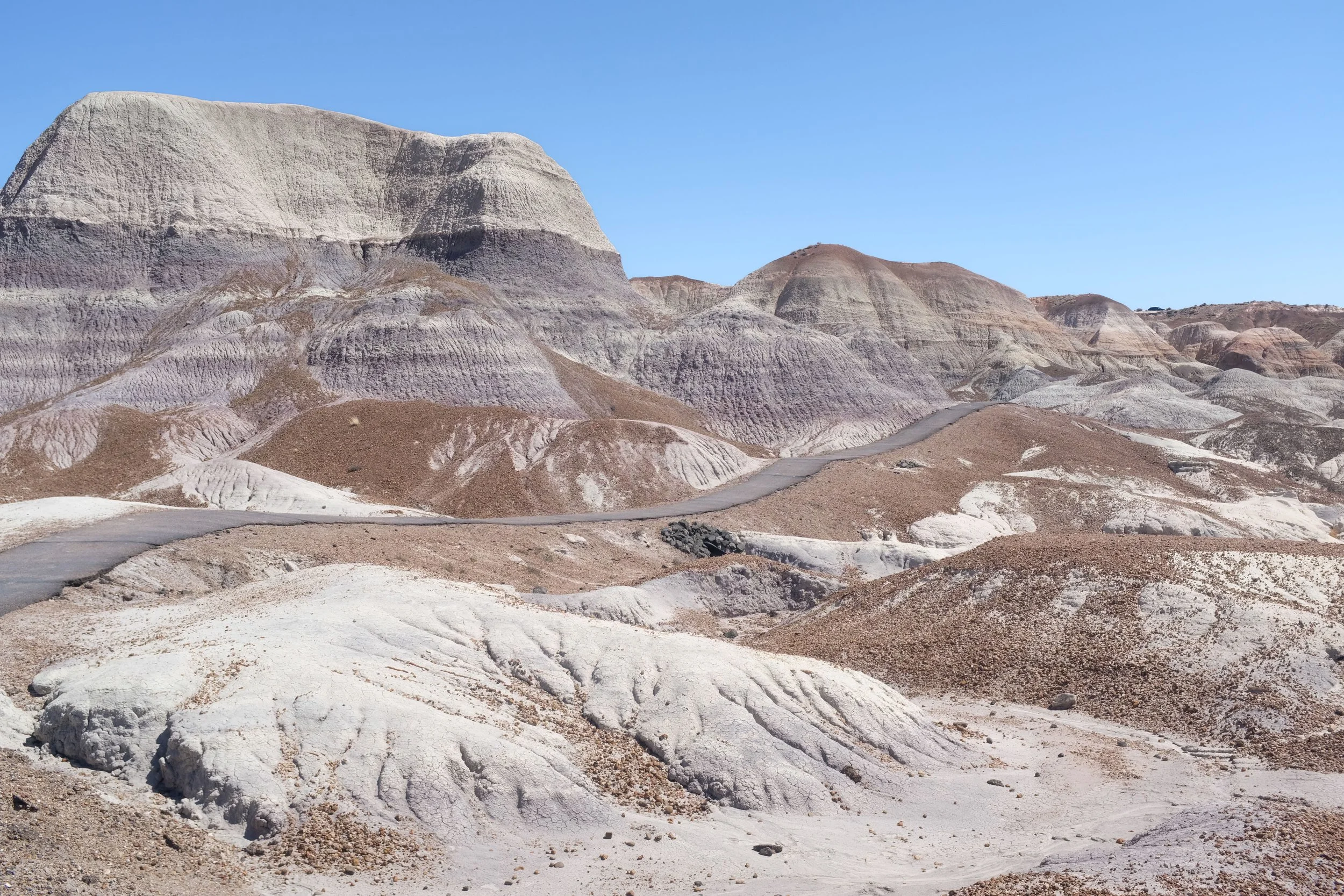 Petrified Forest National Park