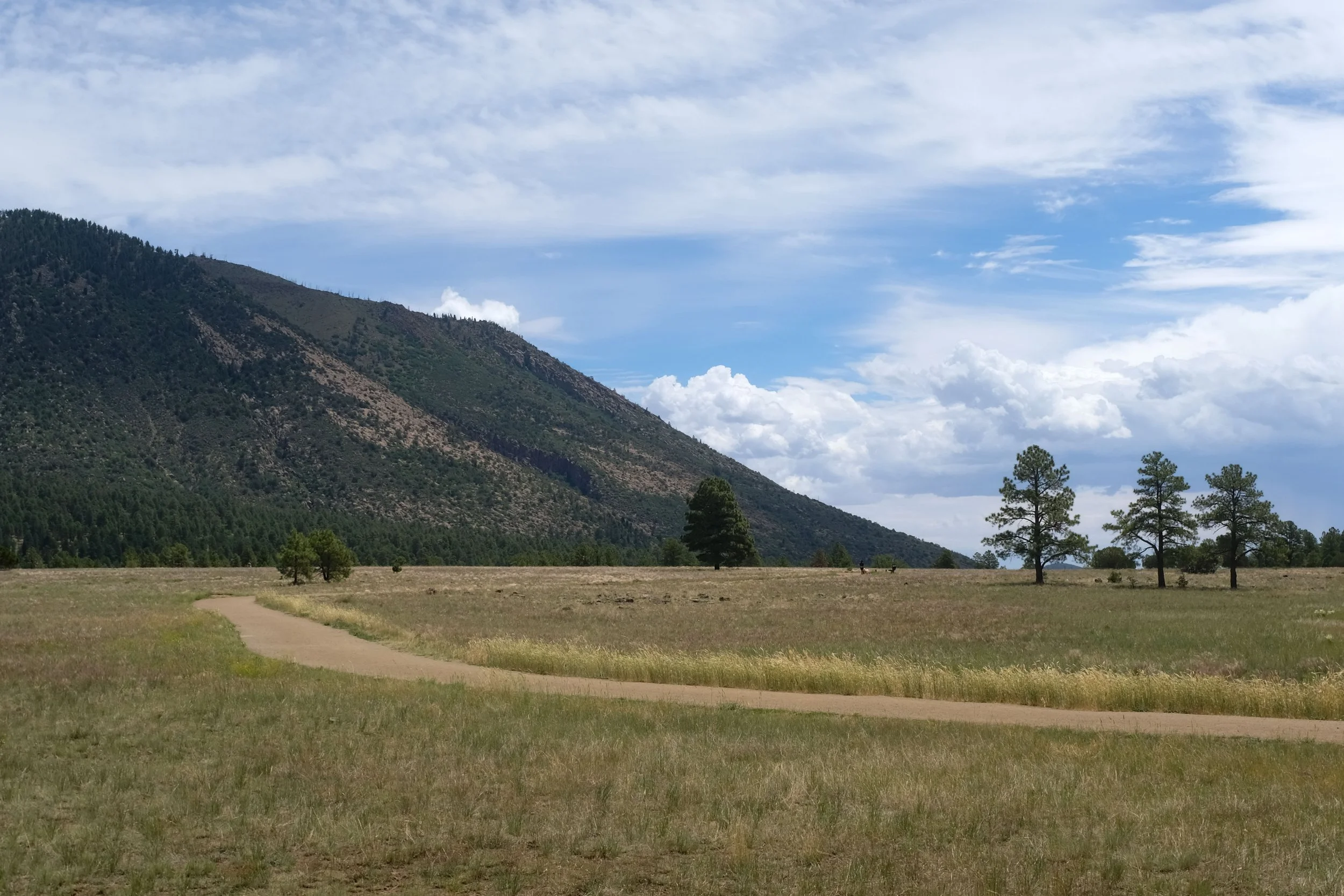 Buffalo Park