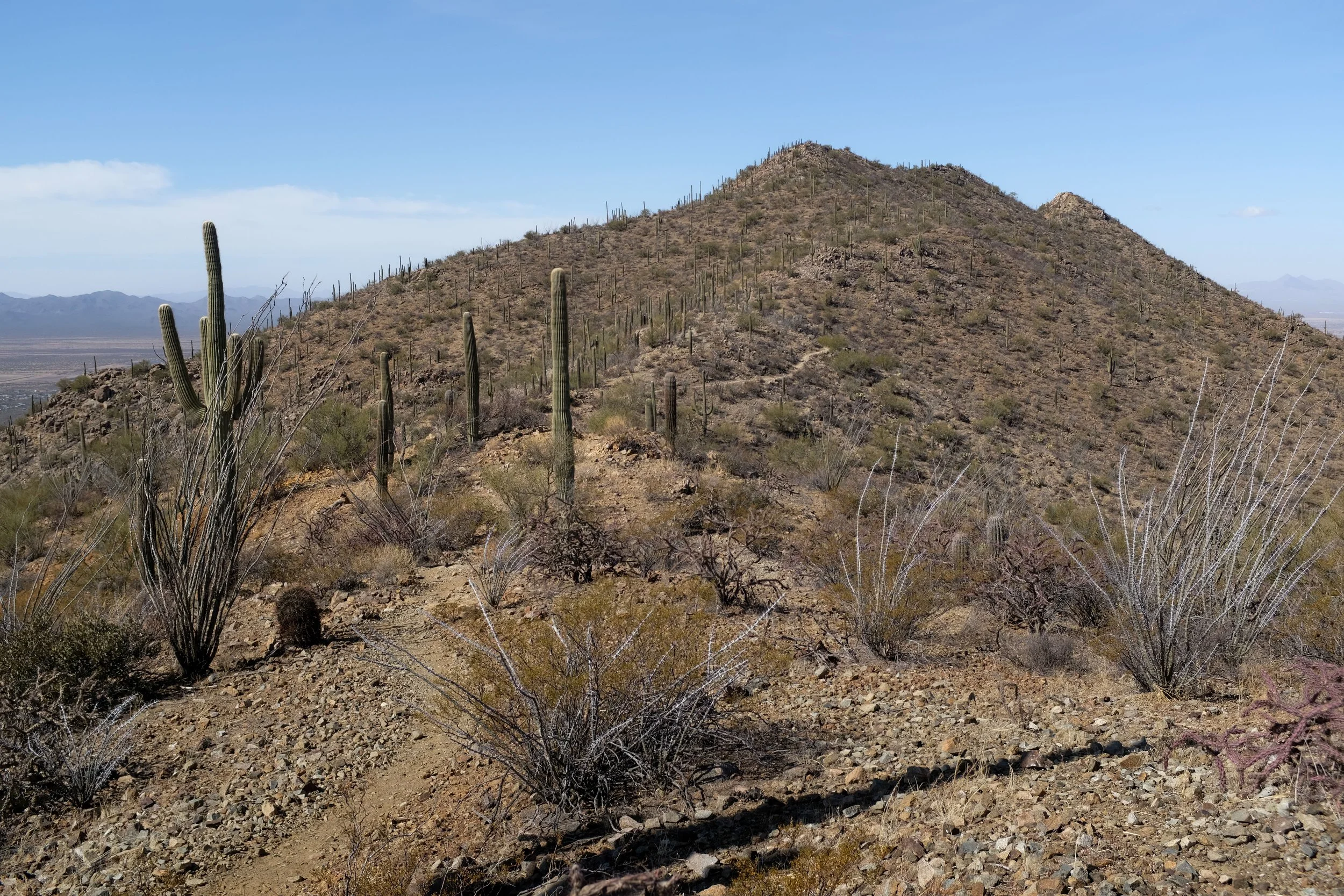 Hugh Norris Loop