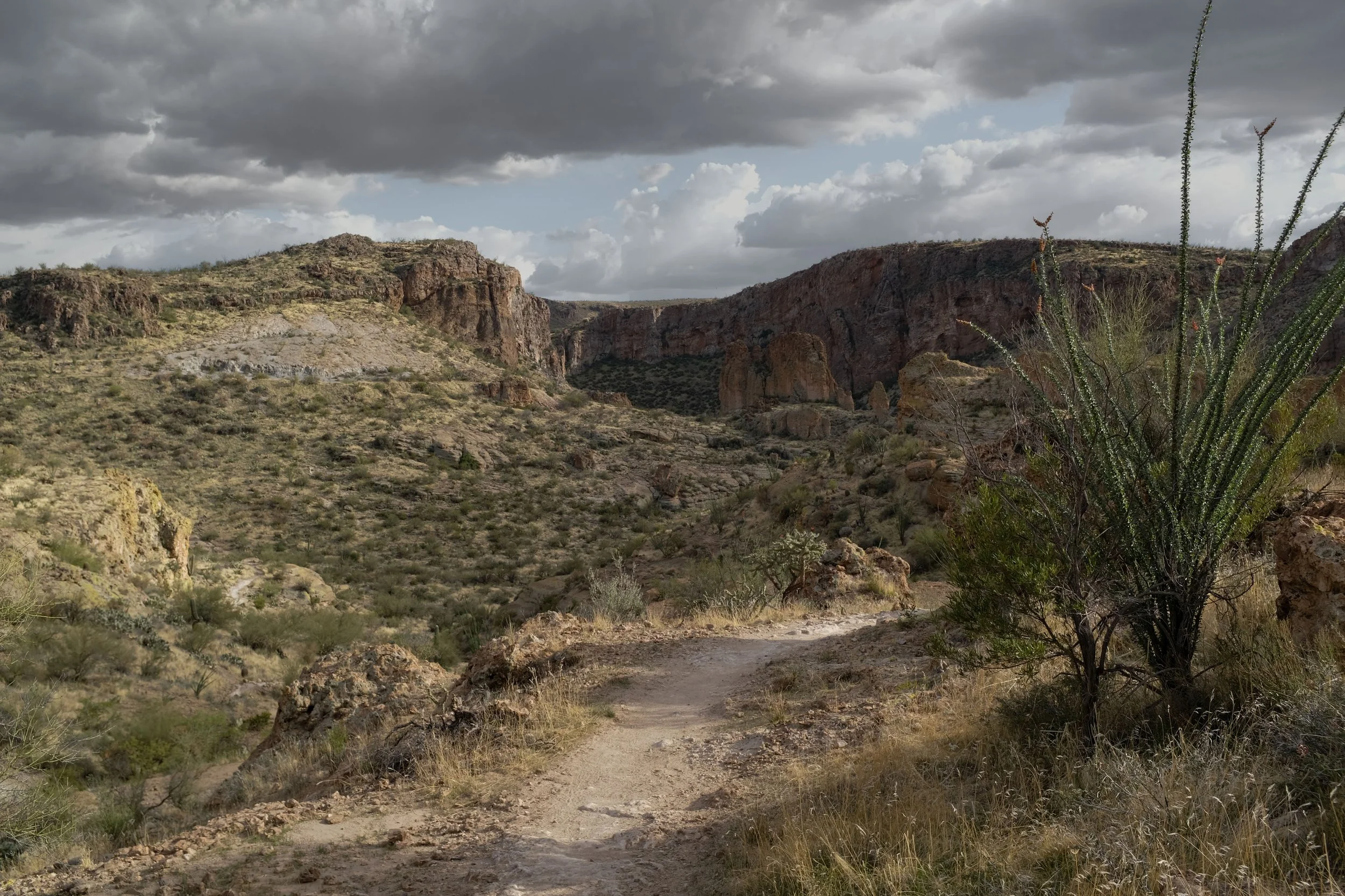 Lost Trail                                                                      