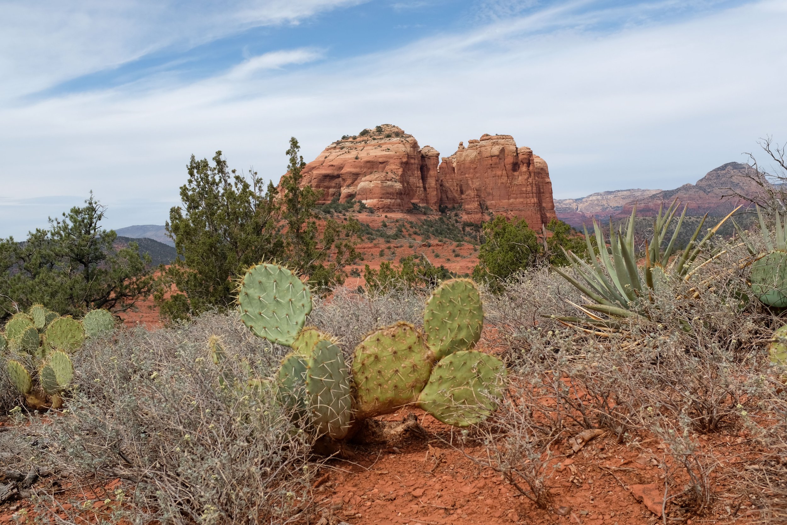 Transept Trail