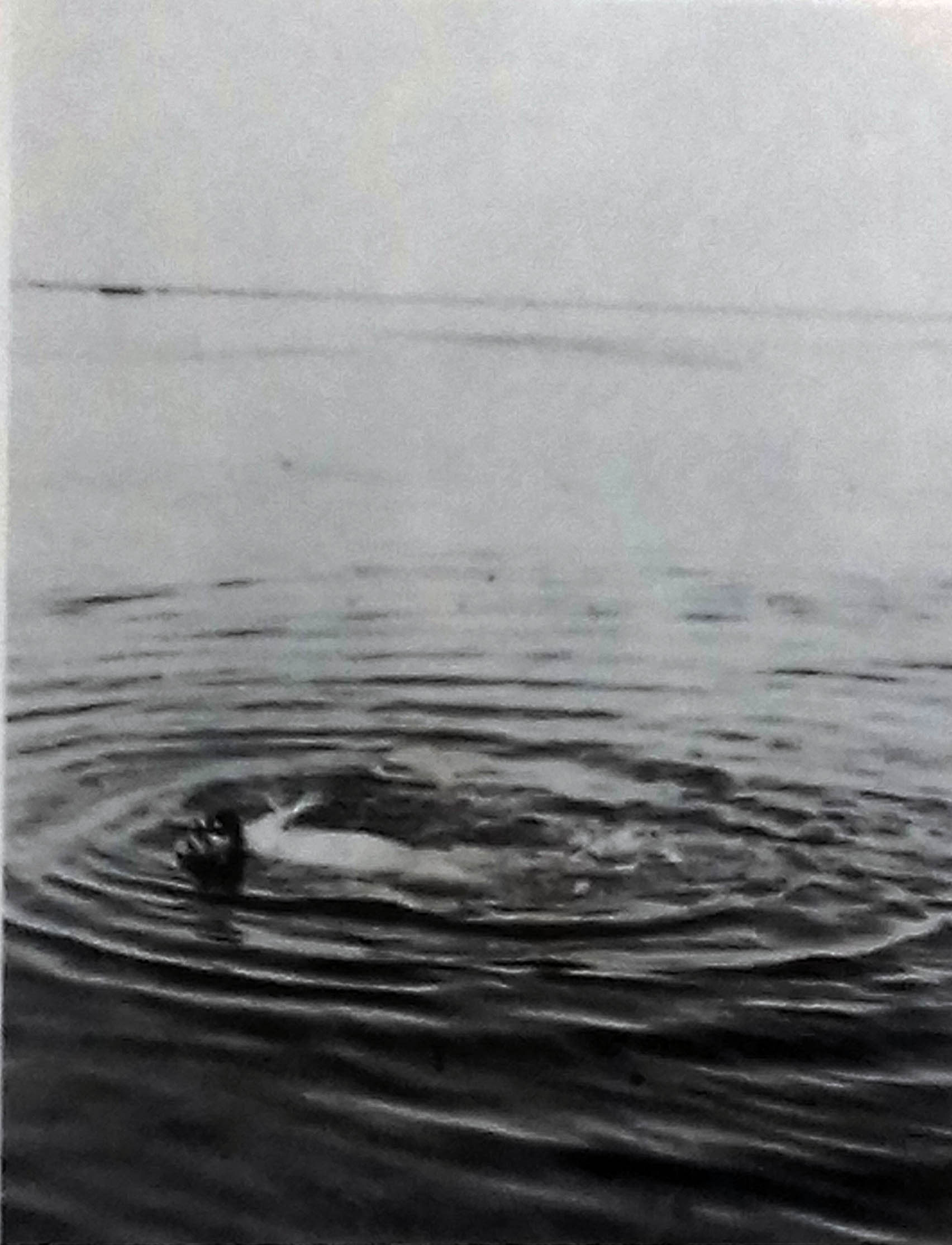 Henri de Toulouse-Lautrec swimming in the Atlantic 1899 Trish-Lyons.com