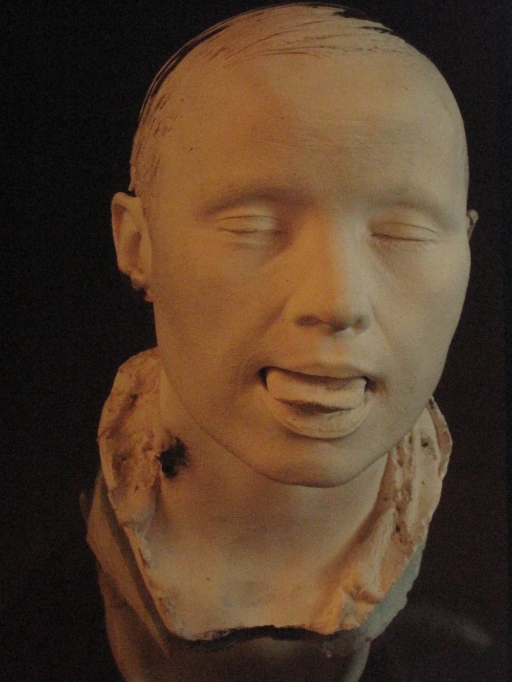 Trish Lyons Mimesis in Practice CSM 1995 plaster head cast from alginate mold 1995 copy.jpg