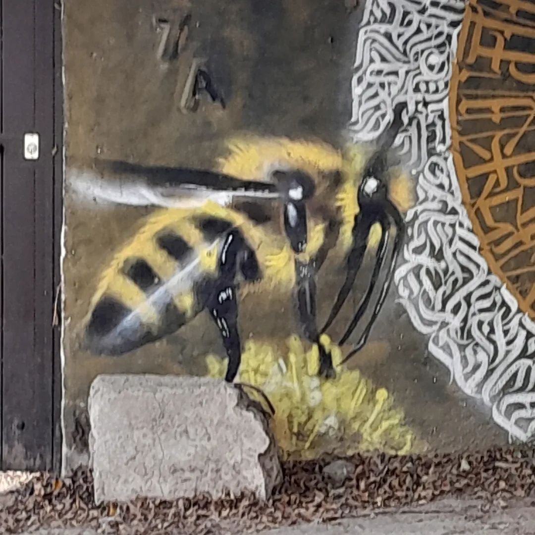 The buzz, new mural in the village. Detail - the wasp is about 1m long. 

#mural #spraypaint #graffitiart #mexico🇲🇽