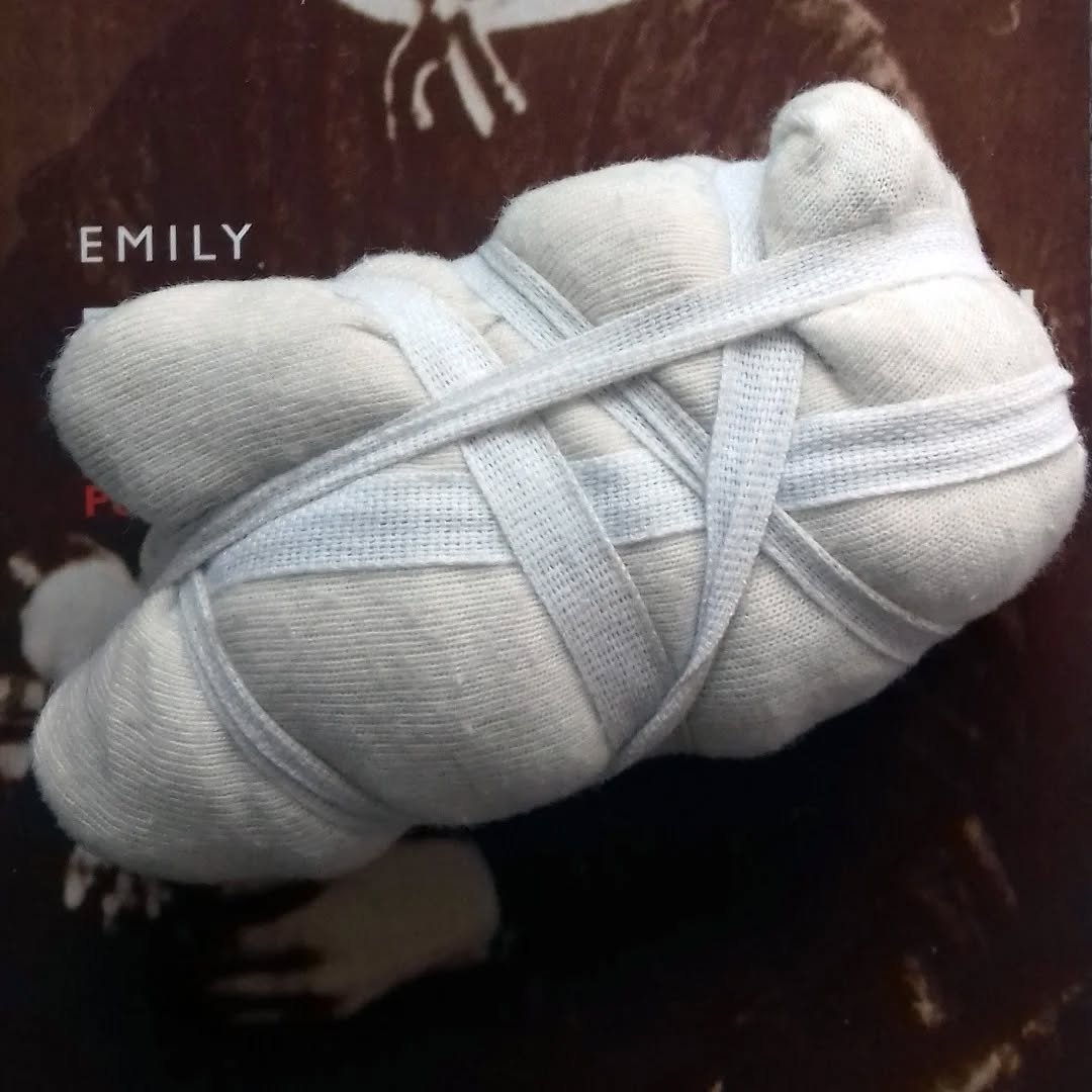 I could not have defined the Change -
Coversion of the Mind
Like Sanctifying in the Soul -
Is witnessed - not explained -

Emily Dickinson about 1863, Fr627, stanza 6.

#emilydickinson