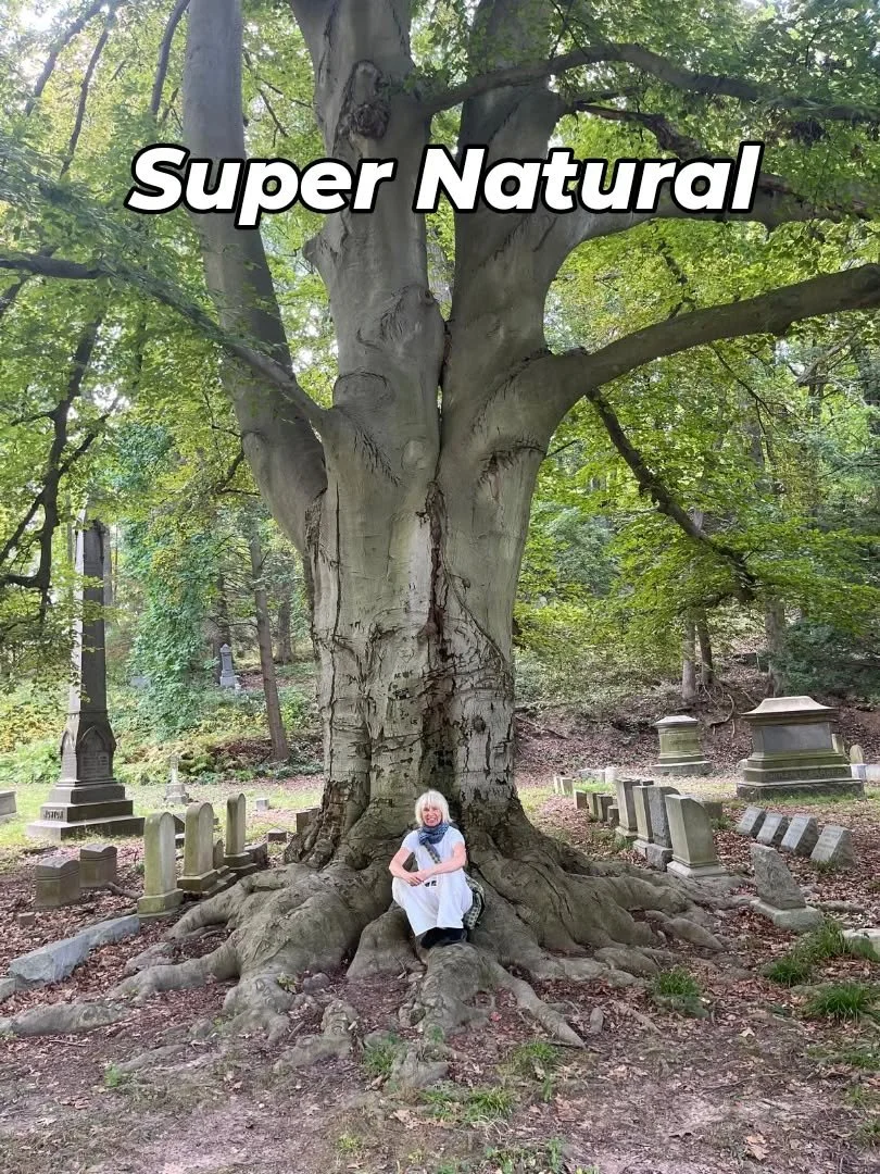 These roots of bones - visited the Mount Hope Cemetary while in Rochester NY.