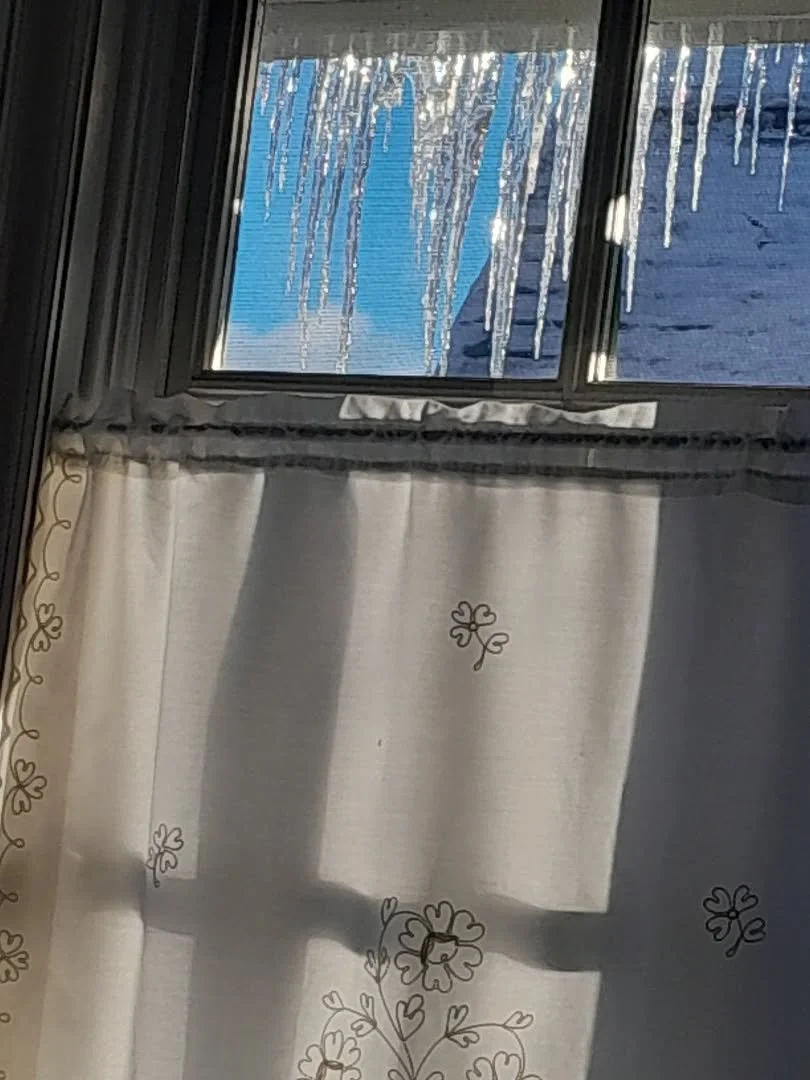 This is just to say

I have eaten
the plums
that were in
the icebox

and which
you were probably
saving
for breakfast

Forgive me
they were delicious
so sweet
and so cold

William Carlos Williams

#poetryisemotionrecollectedintranquility
#dailybread 