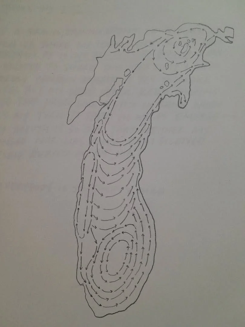 Lake Michigan currents.

Riptide by Norma Cole

Just say you
dream fires each
night smoothing each
collapsing page from

the throat talking
in a series
of measures in
the high desert

the perfect life 
in a series
of measured gestures
an invitation t