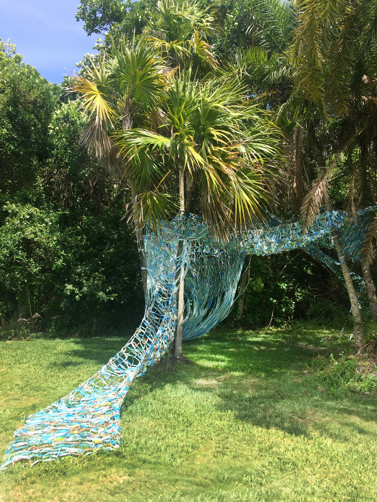 Tangled_02.jpg