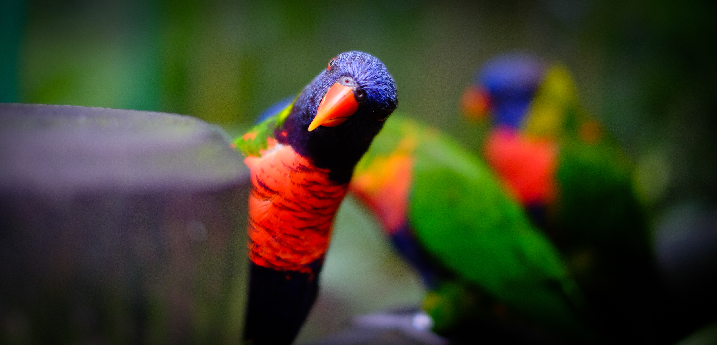 Photo by Matthias Ripp and licensed under Creative Commons. Thanks, Matthias