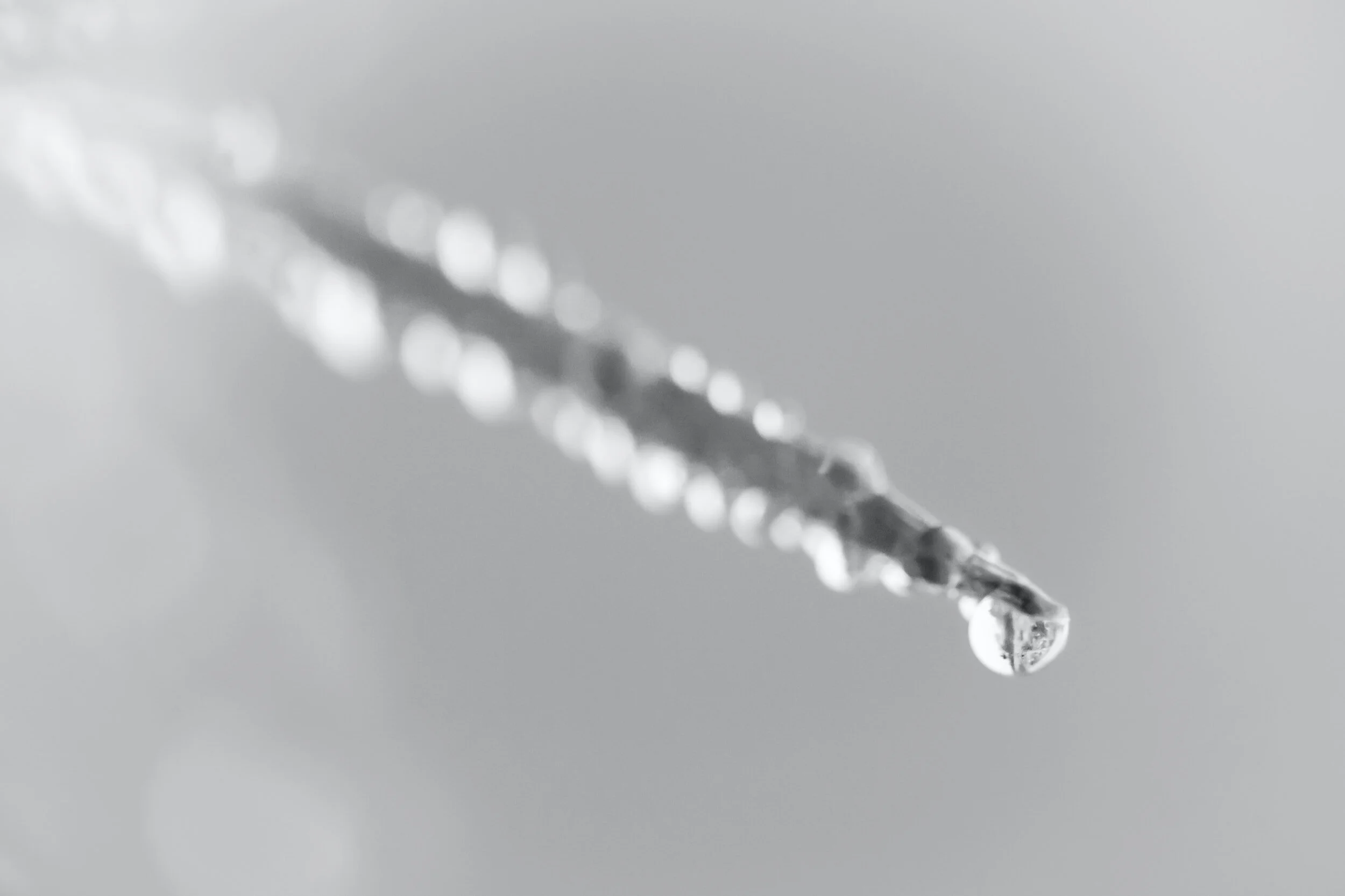 Get past climate action freeze