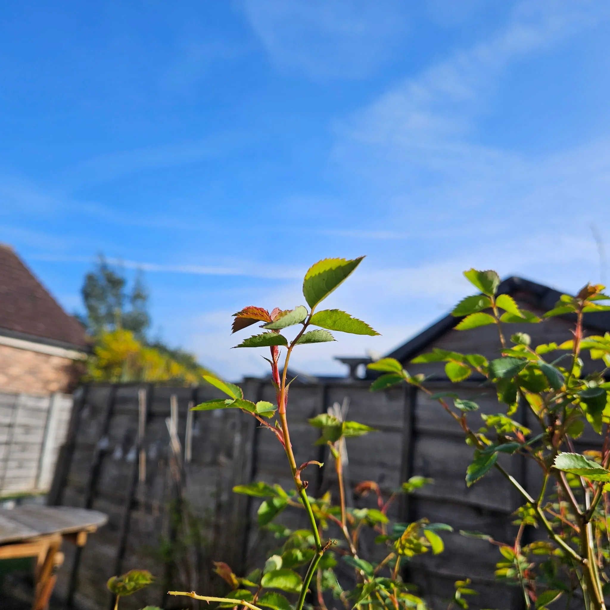 Gaining perspective on overwhelm - halfway through the Self month.