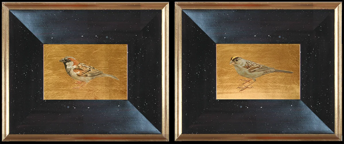 Sparrows
