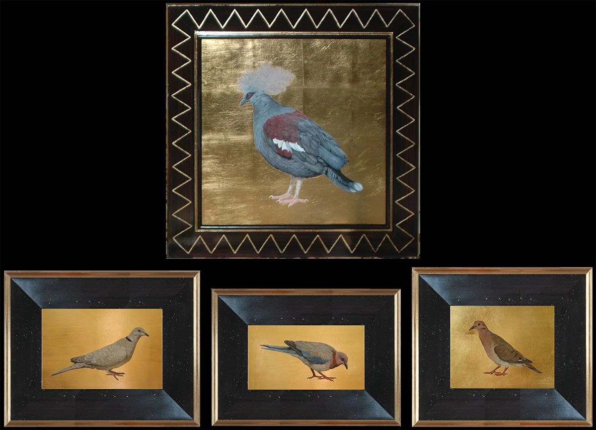 top: Blue Crowned Pidgeon, 27h x 27w bottom left: Ring Necked Dove, 14/1/2h x 18 1/2w middle: Laughing Dove, 12/1/2h x 17 1/2w right: Zenaida Dove, 14 1/2h x 16 1/2w oil on board, hand gilded background and frame, contact for pricing