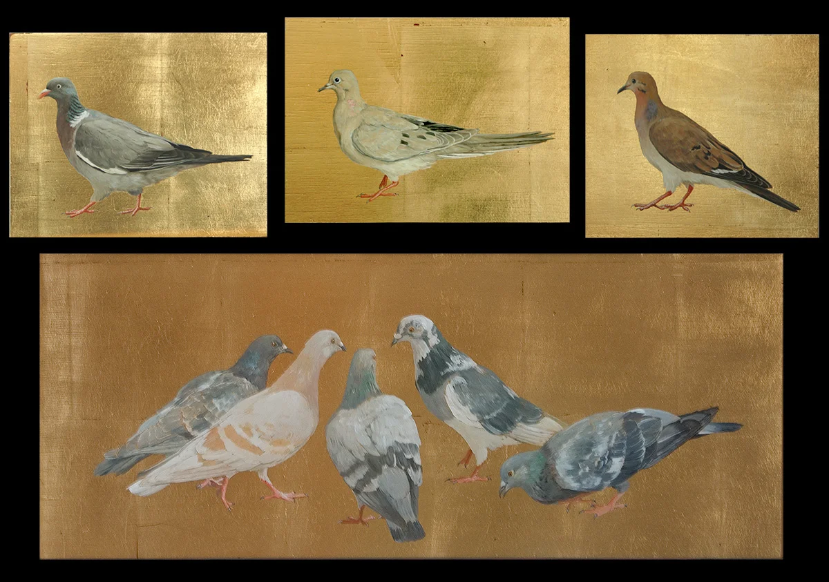 Doves