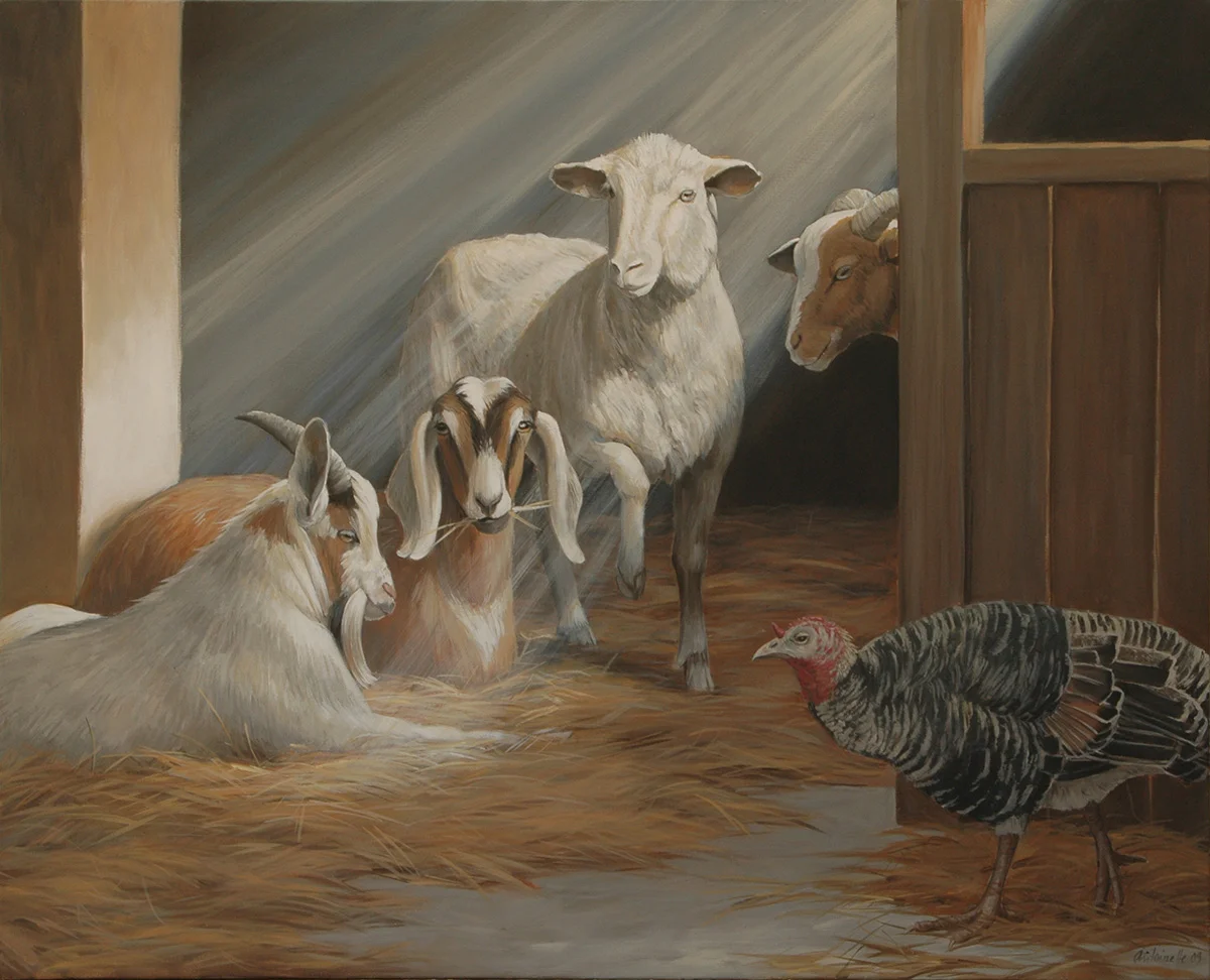 In the Stable