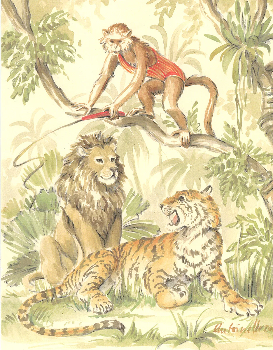 Monkey Illustrations