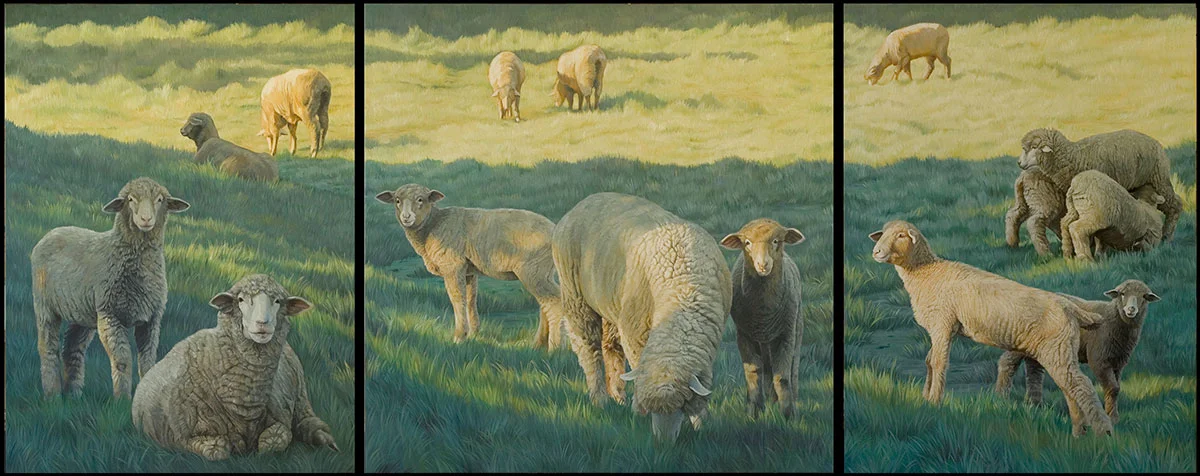 Sheep Triptych