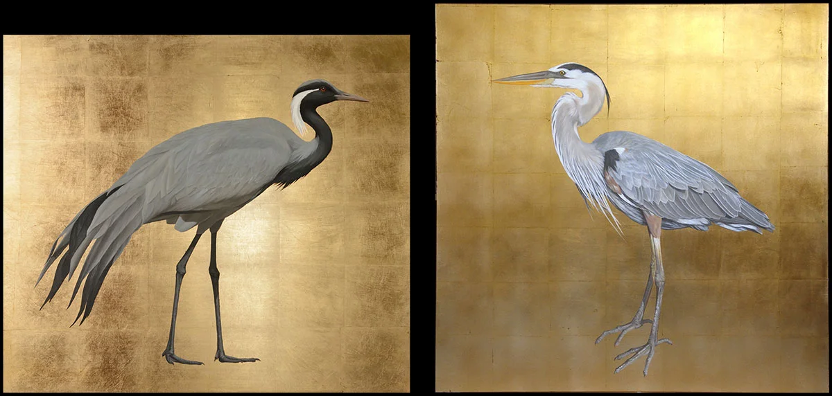 Demoiselle Crane and Heron