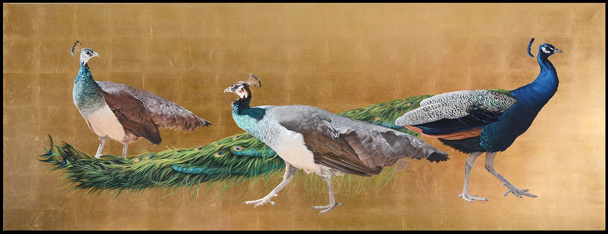 Peacocks (females and male)