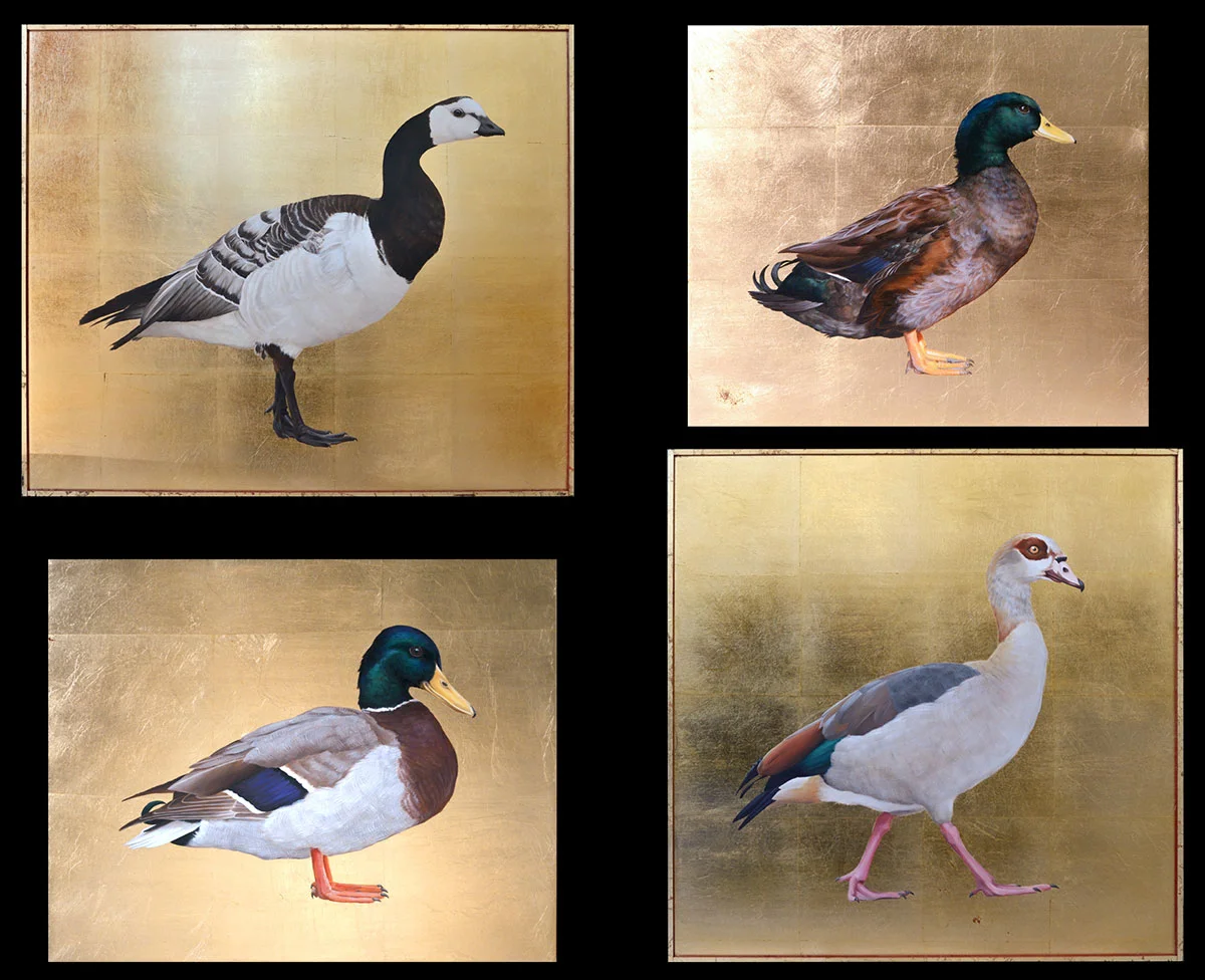 Barnacle goose, black American Mallard mix, Mallard, Egyptian Goose