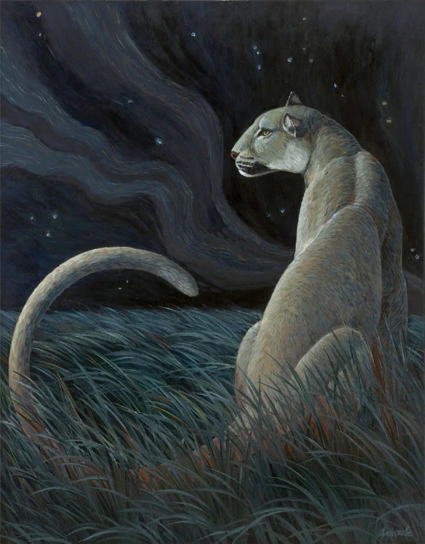 Night Cat