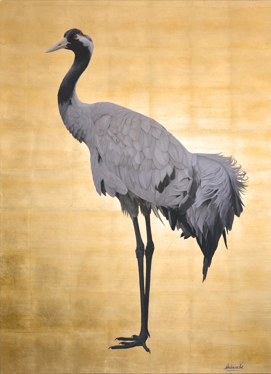 Common Crane