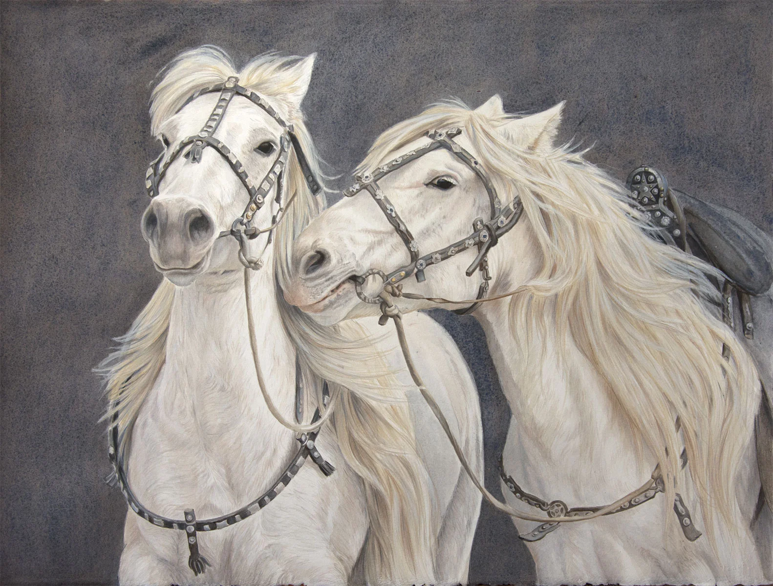 Mongolian Horses