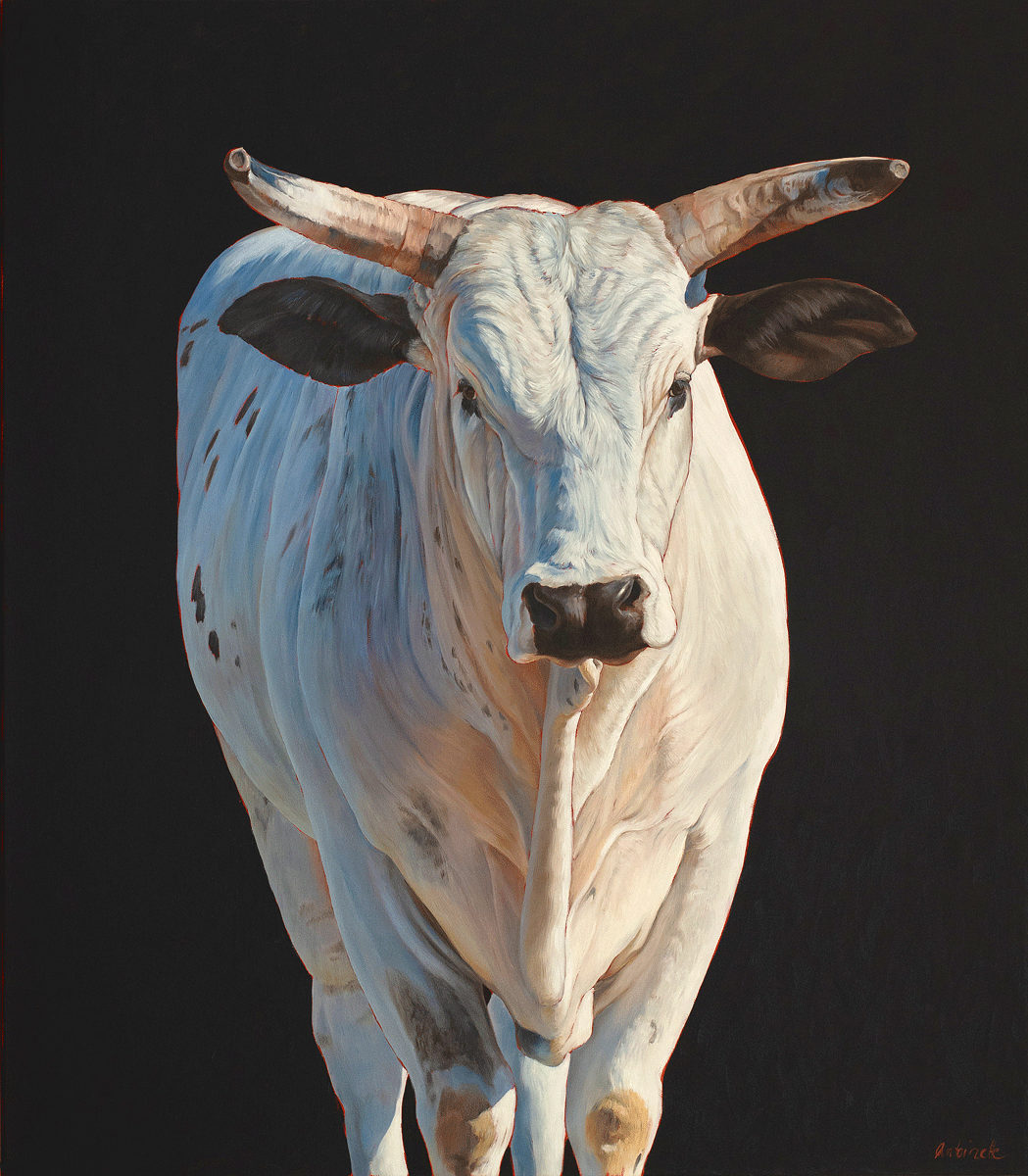 White Bull