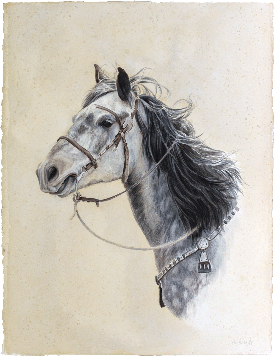 Mongolian Horse