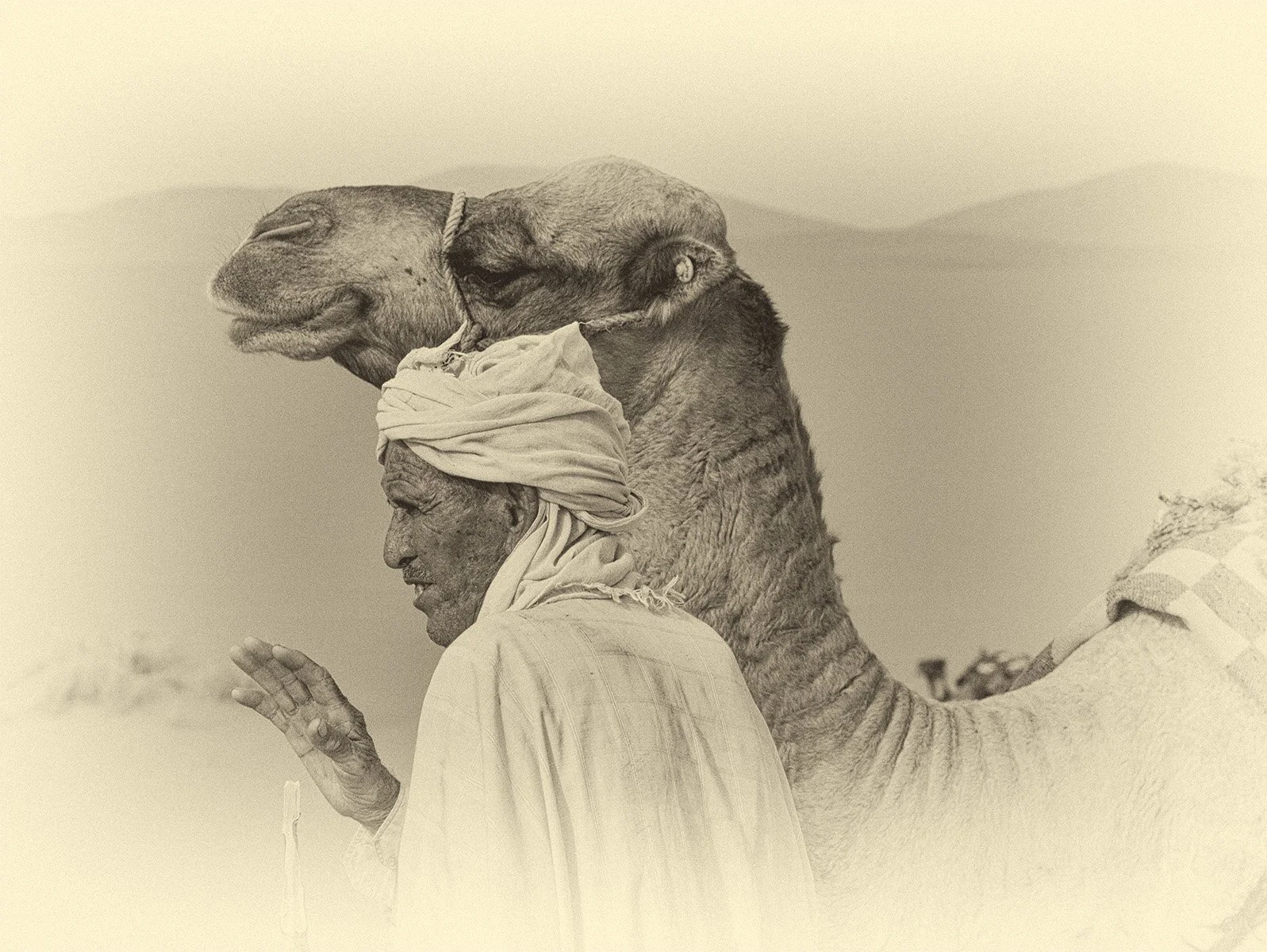 Camel driver, Morocco