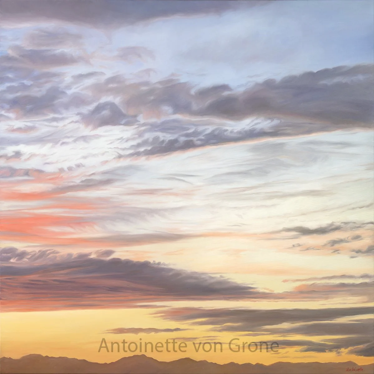 Desert sunset