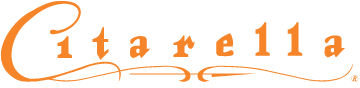 logo.png