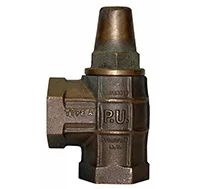 Anti Syphon Valve - Web square.jpg