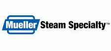 Mueller Steam