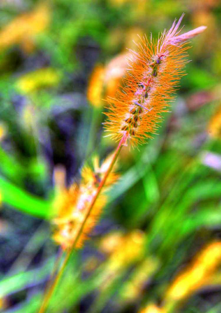 © Joseph Ng. All rights reserved.