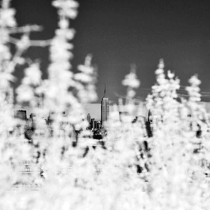 Empire State Building, NY