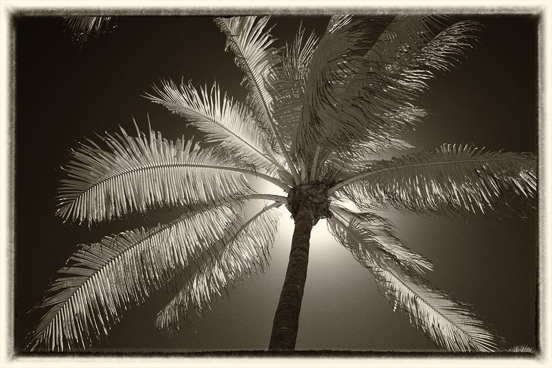 © Joseph Ng. All rights reserved.
