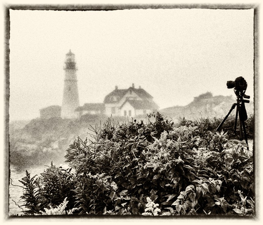 © Joseph Ng. All rights reserved.