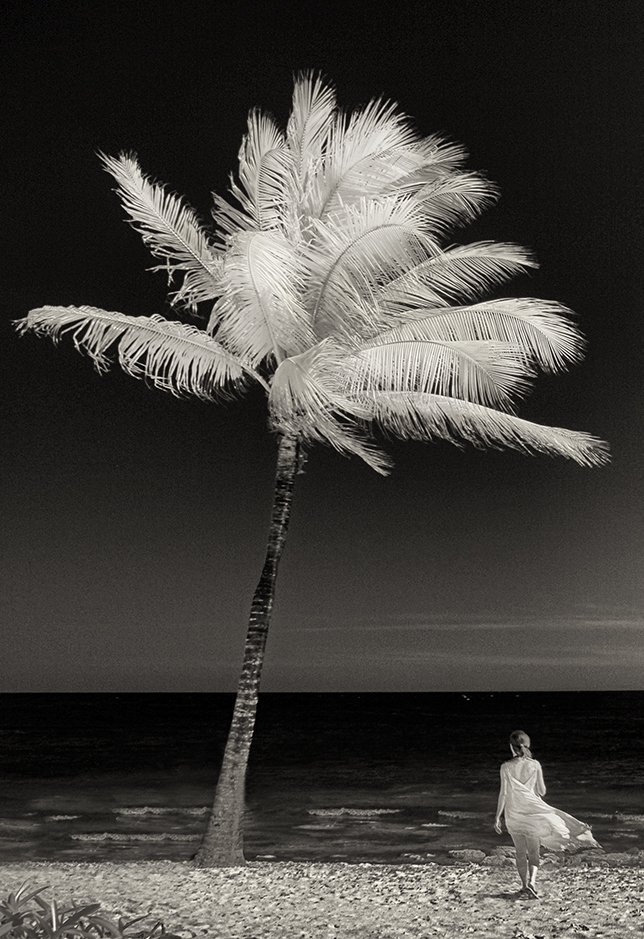 © Joseph Ng. All rights reserved.
