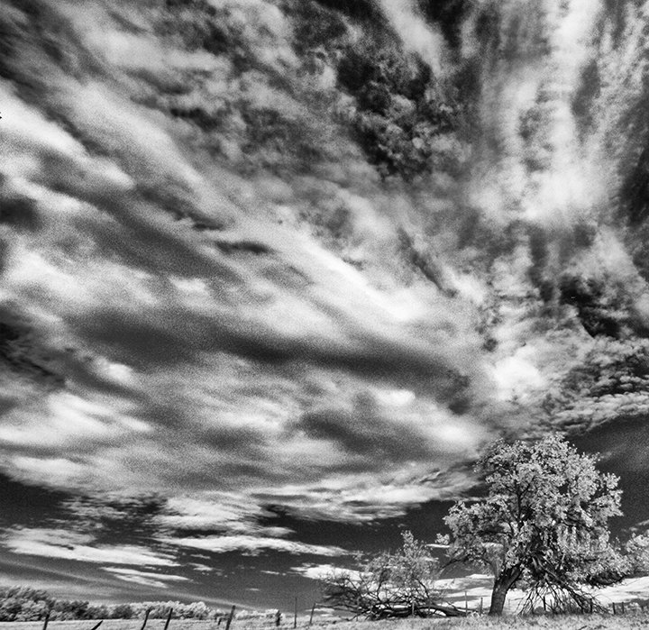 © Joseph Ng. All rights reserved.