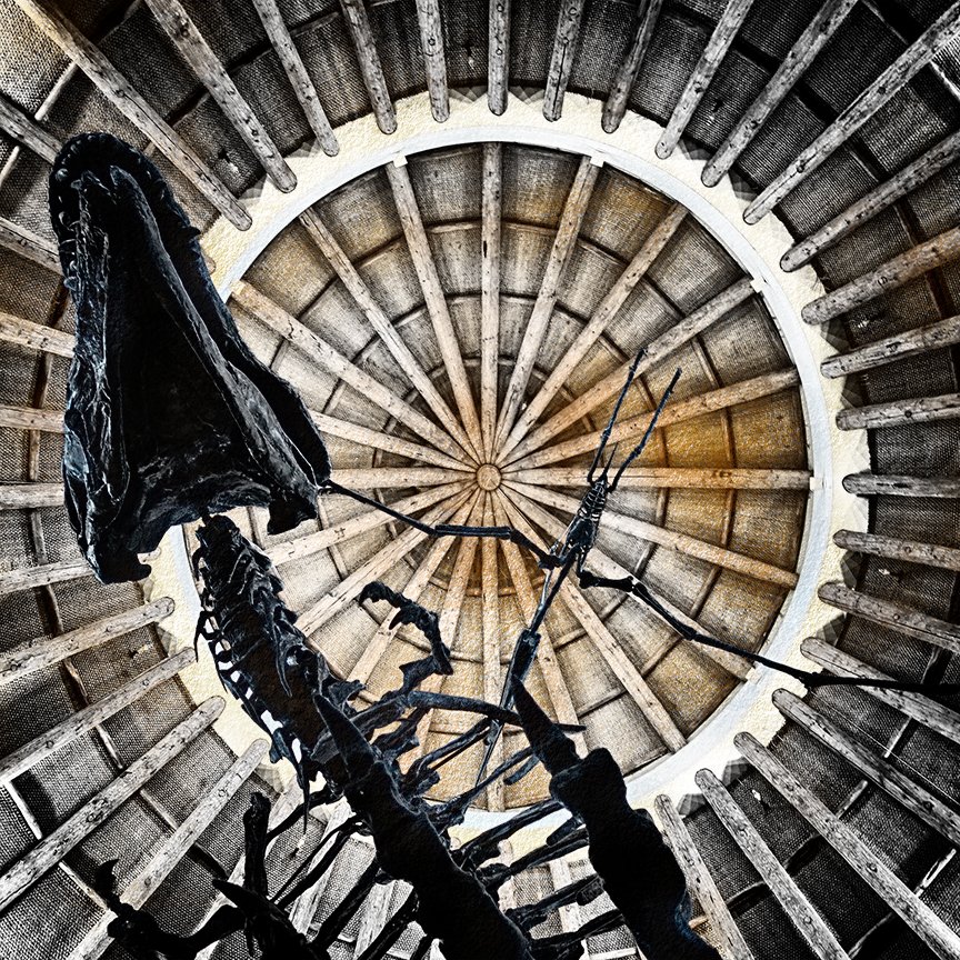 Don't look up...