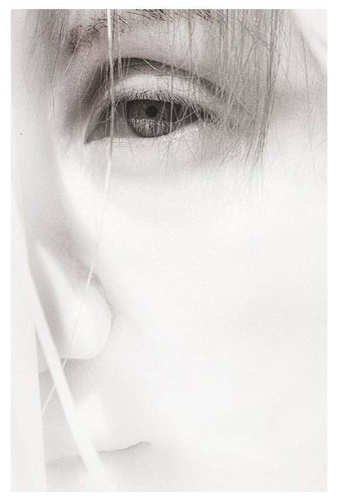 © Joseph Ng. All rights reserved.